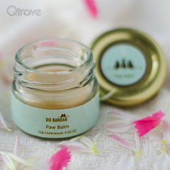 Paw Balm for Dogs at Qtrove