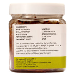Amba Halad Pickle at Qtrove