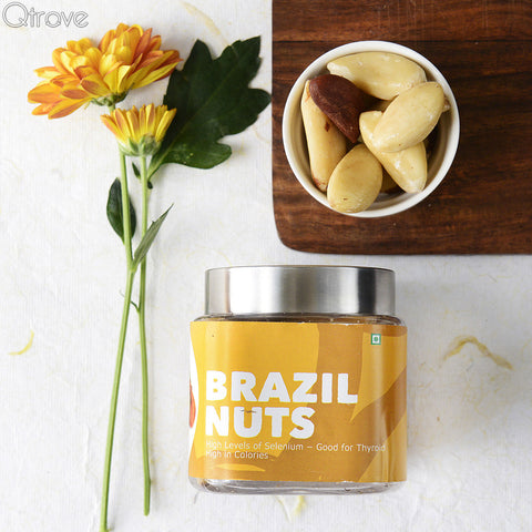 Nutritious Brazil Nuts