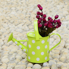 Polka Dot Watering Can at Qtrove