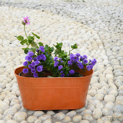 Plain Oval Railing Planter - Orange at Qtrove
