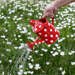 Polka Dot Watering Can at Qtrove