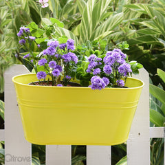 Plain Oval Railing Planter - Yellow at Qtrove