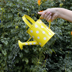 Polka Dot Watering Can at Qtrove