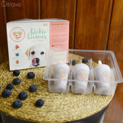 Blueberry Flavor Frosty Treats (Pack of 3) at Qtrove