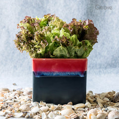Handcrafted Square Planters at Qtrove