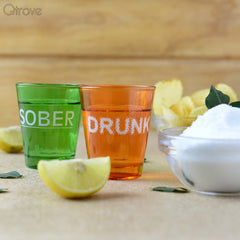 Drunk & Sober shot glasses (orange and green) at Qtrove