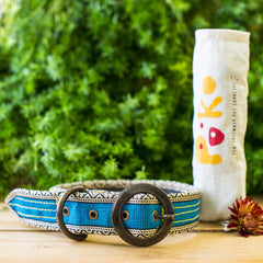 Eco-Friendly Jute Dog Collar - Blue at Qtrove