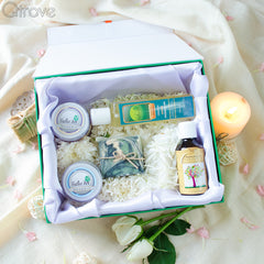 Aloe There! Gift Hamper at Qtrove