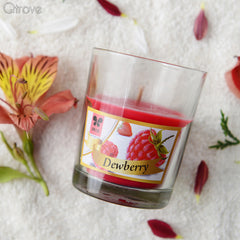 Dewberry Candle (Shot Glass) at Qtrove