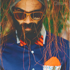 Kingman wooden sunglasses at Qtrove