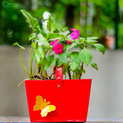 Metal Garden Basket With Butterfly Motif at Qtrove