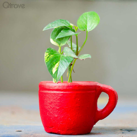 Terracotta Coffee Cup Planter