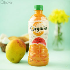 Rich Pulpy Organic Mango Drink at Qtrove