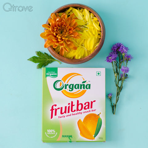Organic Mango Fruit Bar