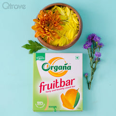 Organic Mango Fruit Bar at Qtrove