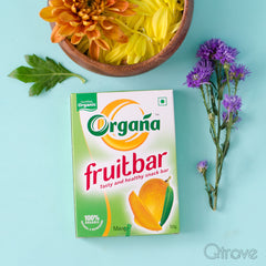 Organic Mango Fruit Bar at Qtrove