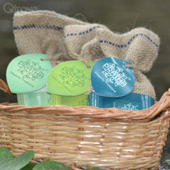 Green Soap Basket at Qtrove