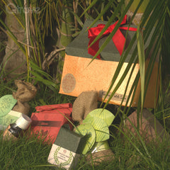 Holy Bath Kit (Pack of 6) at Qtrove