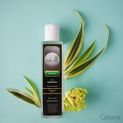 Biodegradable Aloe Shampoo at Qtrove