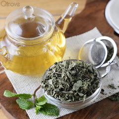 Spearmint Infusion Tea at Qtrove
