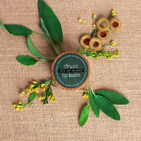 Bath And Beyond - Oil Of Olives Natural Lip Balm