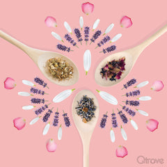 Chamomile Floral Tea Combo at Qtrove