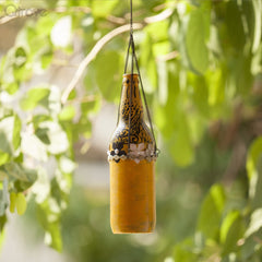 Falling Sunshine Designer Bottle at Qtrove