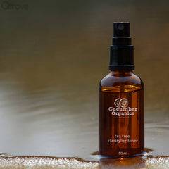 Tea Tree Clarifying Toner at Qtrove